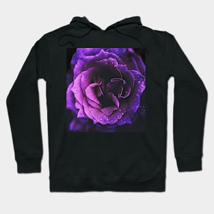 Rose Hoodie